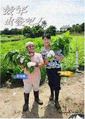 日本综艺在线观看 推荐